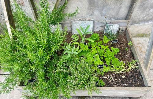 Maison "L'oeil du Prince" - Verdun Centre - Terrasse - Wifi - 7 couchages - 10 personnes - Garage Vélo et moto - Géré par PrestaZen'Services - Photo 41