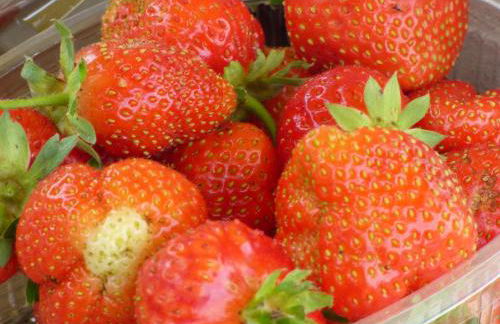 Agriturismo la Sforzata - Photo 13