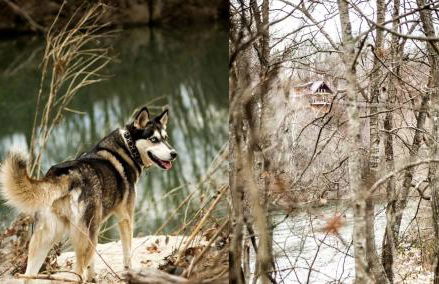 Charming Glamping Rental with Fireplace near Great Smoky Mountains National Park - Foto 24