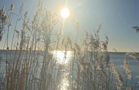 Ich kenne ein Haus am Meer - Foto 46