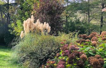 Les Cèdres - Foto 11