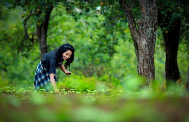 The Pear County - Foto 23