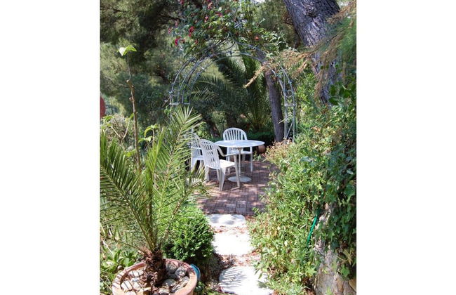 Tuinappartement - Castel D'incze - Foto 11