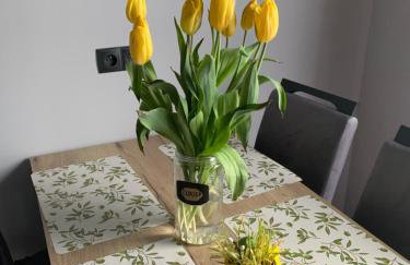 Bulwar Apartament Stare Miasto - Foto 17