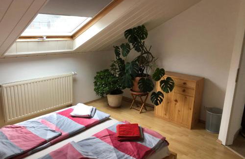 Ferienwohnung Heidelberg ZE-2020-7-WZ - Photo 13