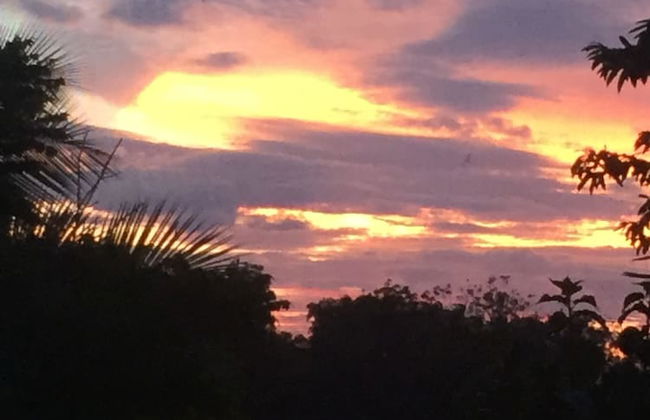 Santa Cruz Cabins - Foto 38