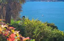 Villa gli Ulivi Chalten Apartment - Foto 21