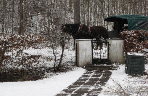 Haus Alpenrose - Foto 52
