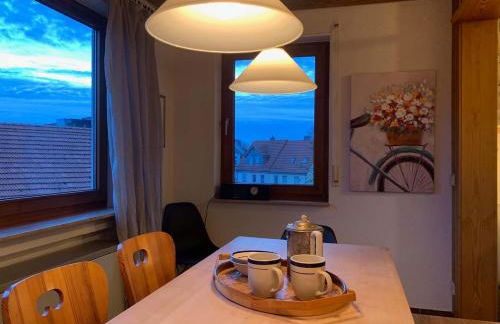 Deluxe Business City Apartments Metzingen Villa Landenberger - Foto 134