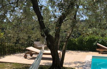 Villino con piscina - Foto 4