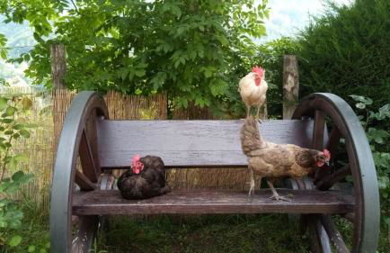 Casa Rural Cares - Foto 28