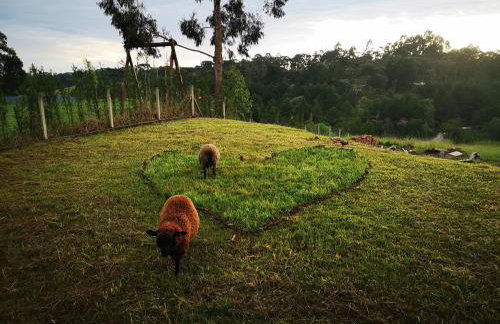 Cabana Suiça - Foto 13
