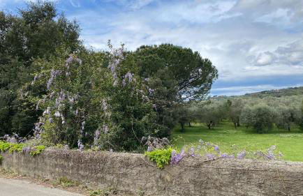 La Residenza dei Piaceri Perduti- Le Volte - Foto 8