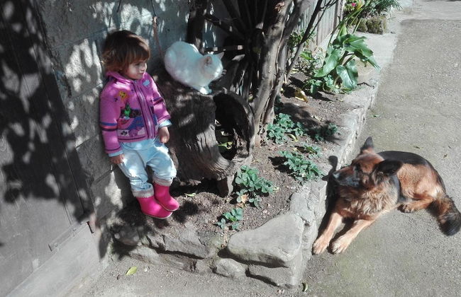 Agroturismo La Casona de Belmonte - Foto 48