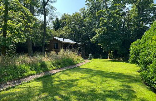 Deer View Cabin - Woodland, beaches and Hot tub - Foto 20