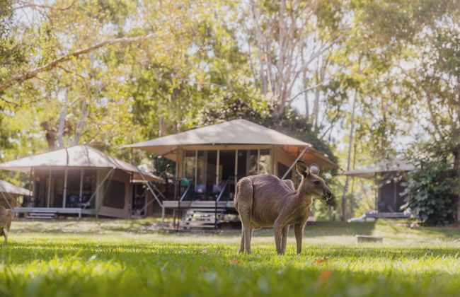 Habitat Noosa - Foto 15