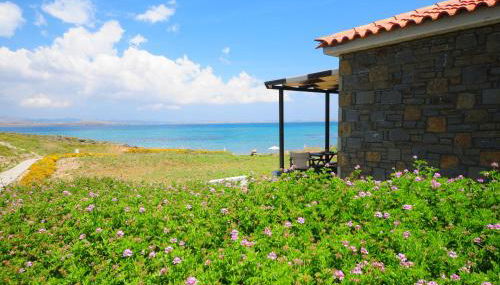 Fanaraki Beach Studios - Foto 5, Garden