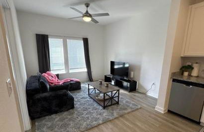 Modern 1BR Minutes to Mayo Clinic and Beach - Foto 8