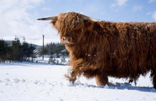 Bright House with Garden & Patio in Market Town - Foto 28