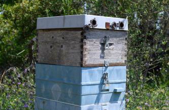 Villa Rosa - Foto 44