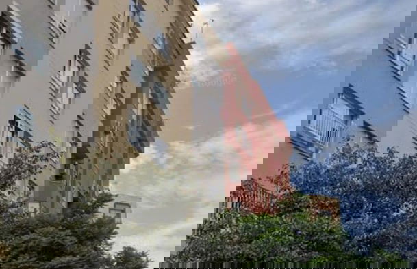 Malaga Palo - Photo 26