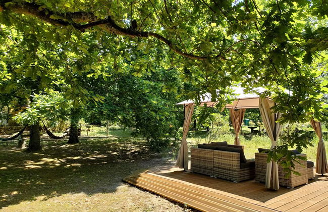 Casa das Palmeiras - Pedagogic Farm - Foto 130