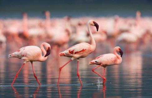 Ca' Savio terramare - Foto 39