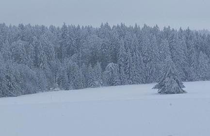 Ferienwohnung Tina - Foto 25