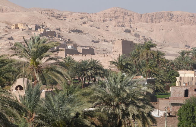 Mountain View Apartments - Foto 46