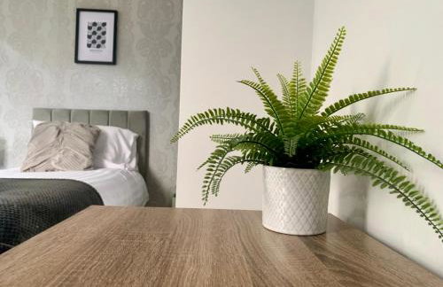 3 BDR Entire Home Sleeps Up to 5 Contractors & Families Long or Short Stay Free WiFi & Parking - Foto 12