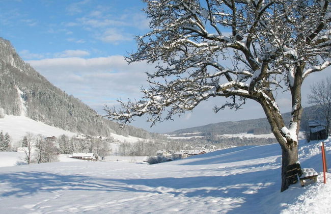 Holiday Apartment Alpenstern - Foto 13