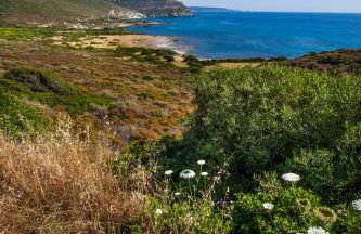 Residenza Solemar - Foto 40