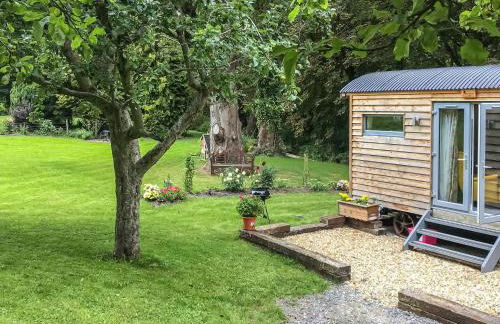 Little Willows - Foto 19