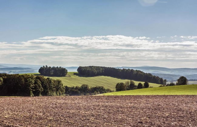 Apartment With Views of the Ore Mountains - Foto 33