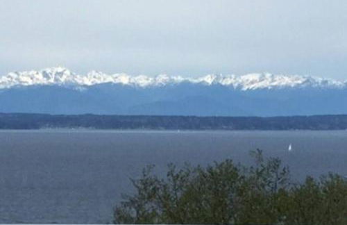 1-Bedroom Seaview Guesthouse on Seattle Luxury Estate with Views of Olympic Mountains - Foto 37