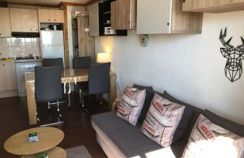 Lama-Gîte-des-Puys T3 Lamadalet, vue sud, terrasse, parking privé - Photo 6