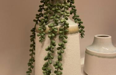 Le Mouton à 5 Pattes Aubagne-Cassis-Aix en Provence - Foto 31