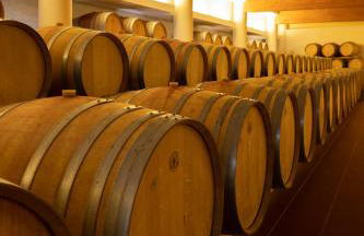 Cincinnato Wine Resort - Foto 71