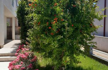 apartman MAMA - Foto 16