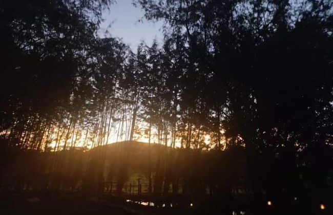 Villa Eucalyptus - Foto 52