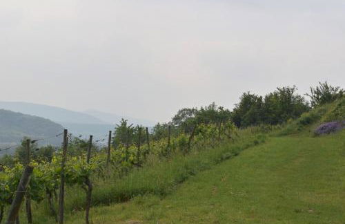 Gîte de Cep et de Grès - Foto 22