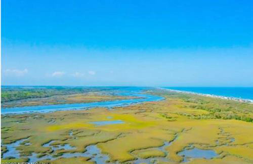 Pelicans Perch - Foto 24