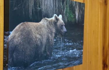 CabinSnowmobile TrailsIce FishingFireplace - Foto 18