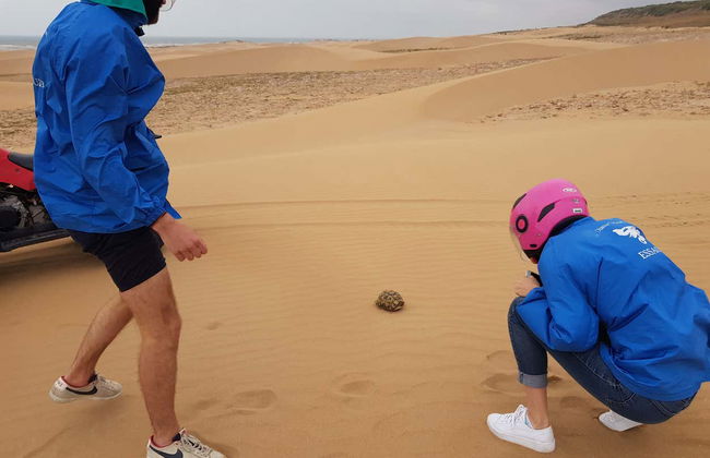 Essaouira Quad Tour - Photo 2