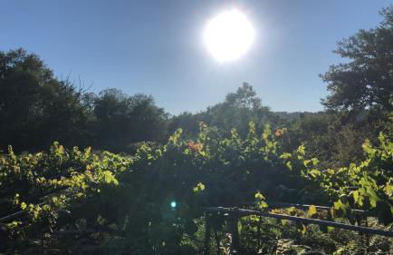 Casa do Porto - Foto 68