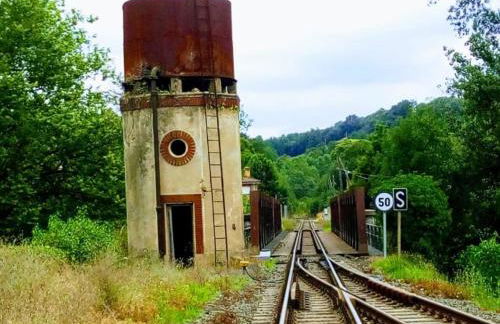 Apartamento Gibaja - Foto 31