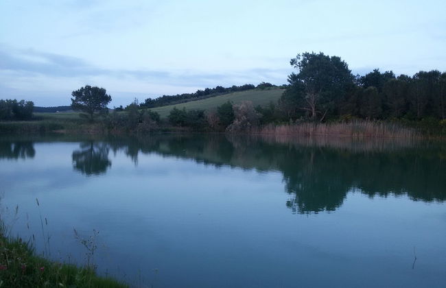 Agriturismo Galeazzi - Foto 24