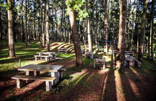 CA Apartamentos Pampin Ponte do Porto - Foto 18