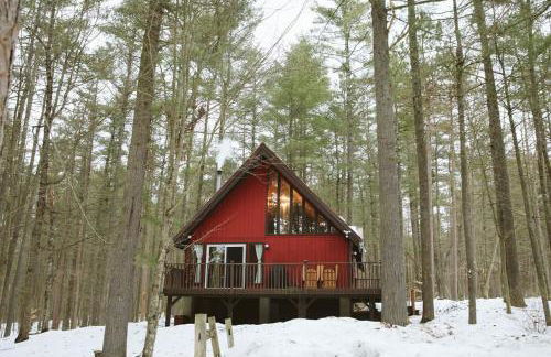 ADK Forest Cabin near Lake Placid with Hot Tub and Ice Bath - Foto 32