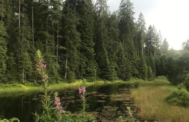 das schulhaus - Foto 31